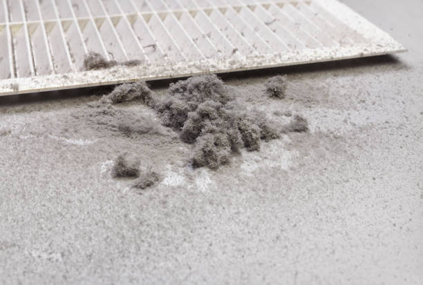 Best Air Duct Inspection  in Crystal Falls, MI