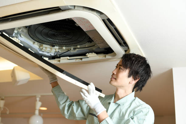 Best Affordable Duct Cleaning Services  in Crystal Falls, MI