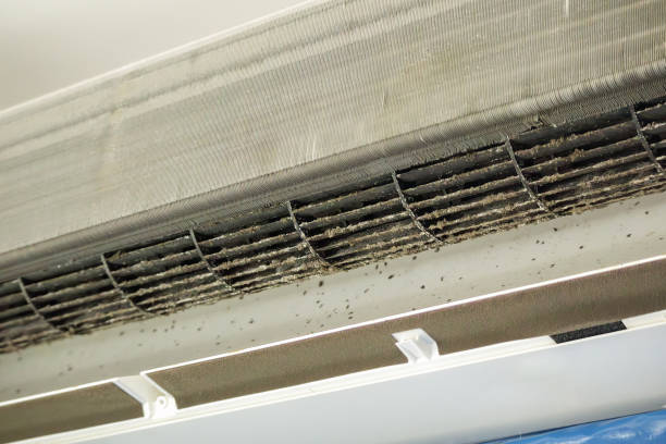 Best Local Air Duct Cleaning Services  in Crystal Falls, MI